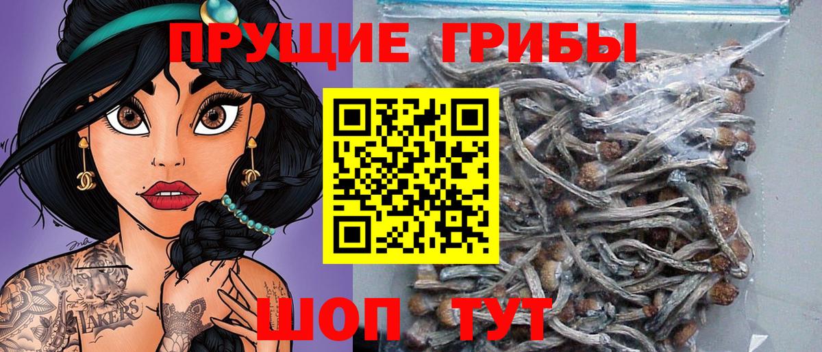 Псилоцибиновые грибы прущие грибы  Вход с VPN  Углич 